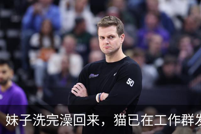妹子洗完澡回来，猫已在工作群发了几百条信息，当场崩溃：光撤回就花了30分钟！