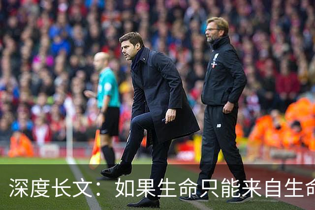 深度长文：如果生命只能来自生命，那第一个生命是怎么冒出来的？