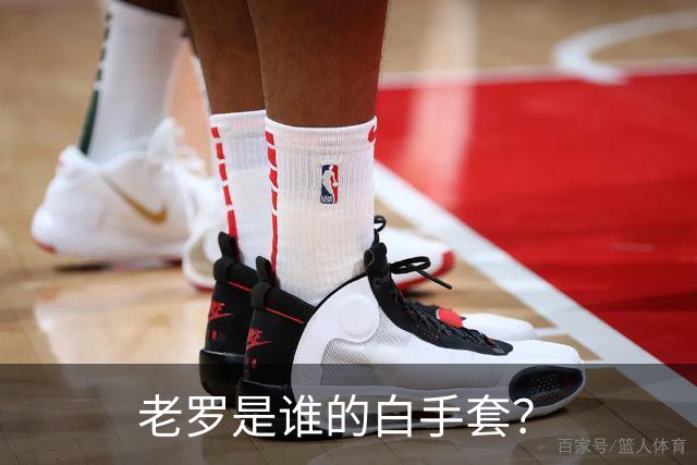 老罗是谁的白手套？